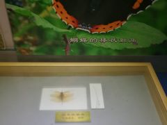 -上海昆虫博物馆