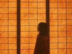 -重庆南山海昌汤都