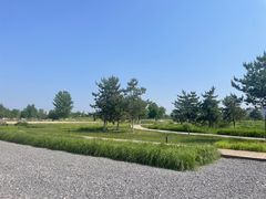 -汉长安城未央宫国家考古遗址公园