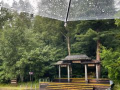 -五营国家森林公园