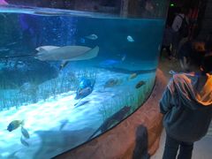 -沈阳海洋探索中心