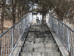 -白水寺森林公园