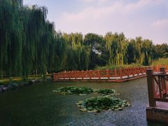 -丰台科技园生态主题公园