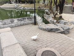 -万柳阁小馆·花园餐厅(龙潭湖店)