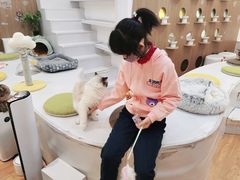 -COLOR PETS 撸猫馆·购猫·猫咖(长风大悦城店)