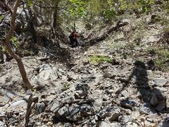 -北京西山国家森林公园