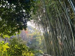 -汇龙潭