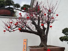 -龙华素斋(龙华路店)