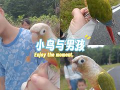 -白石龙音乐公园