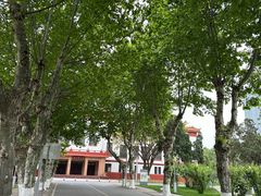 -四川大学(望江校区)