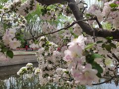 -元大都城垣遗址公园