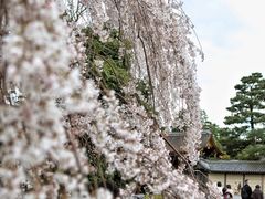 -京都御所
