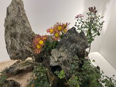 -汇龙潭