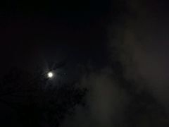 -四海公园(南山区)