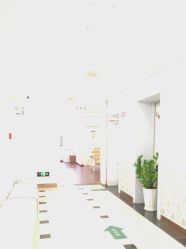 -武汉五洲整形外科医院