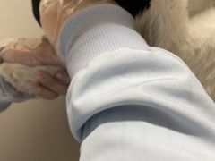 -四月宠物医院·猫专科·心脏专科·内科(转塘店)