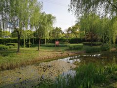 -上海市平和双语学校