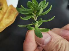 -黔人百味.贵州菜