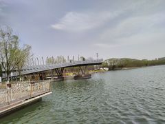 -大兴滨河森林公园