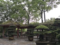 -南山植物园