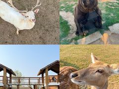 -祥源·阜阳生态乐园