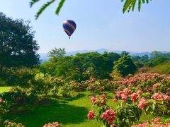 -中国科学院西双版纳热带植物园