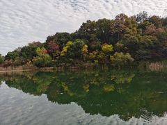-古韵餐厅(湖畔大学店)