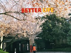 -上海浦东星河湾酒店