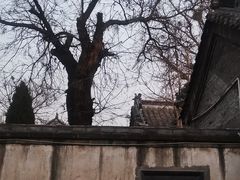 -戚继光故里