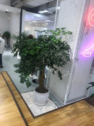 -P.STYLE派斯造型