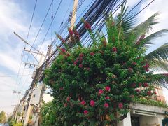 -宁曼路