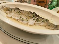 -顺峰(农展馆店)