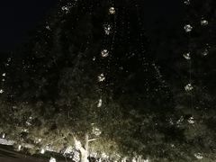 -大雁塔北广场音乐喷泉