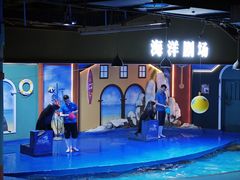 -重庆欢乐海底世界