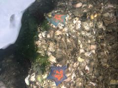 -映像威海·海鲜味道(市区店)