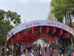 -清溪大王山森林公园