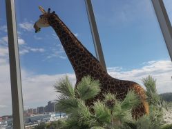 点击看大图 -IMON·HANSA潮玩玩偶毛绒玩具(通州万象汇店)