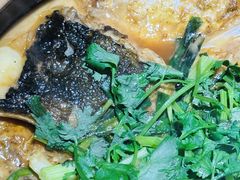 -九道菜有鸡鱼头(石鼓路店)