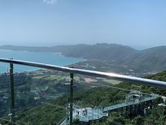 -亚龙湾热带天堂森林公园