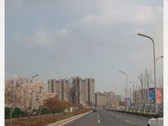 -西海岸生态观光园