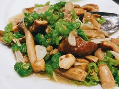 皱皮椒炒青头菌-蔼若春.传承三十年云南菜(金碧公园店)
