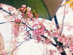 -静安雕塑公园