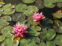 -星巴克(深圳前海企业公馆店)