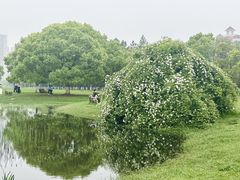 -艾溪湖湿地公园