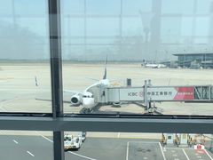 -青岛胶东国际机场