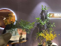 -花隐·美芙炫海菲秀皮肤管理中心