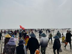 -红树林天天赶海