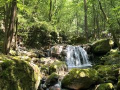 -牛背梁国家森林公园