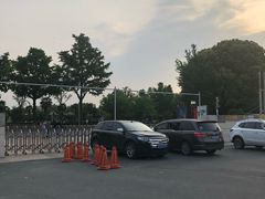 -大宁郁金香公园-停车场