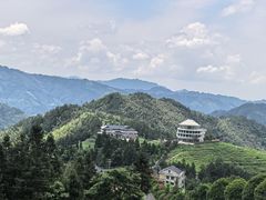 -紫鹊界梯田景区